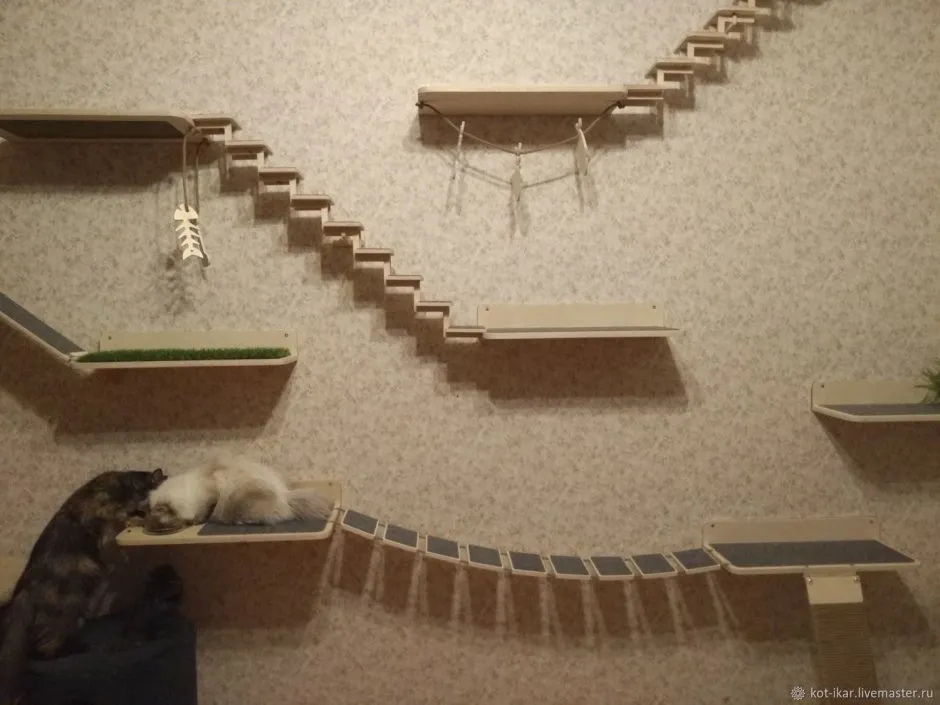 Комплекс для кошек на стену
