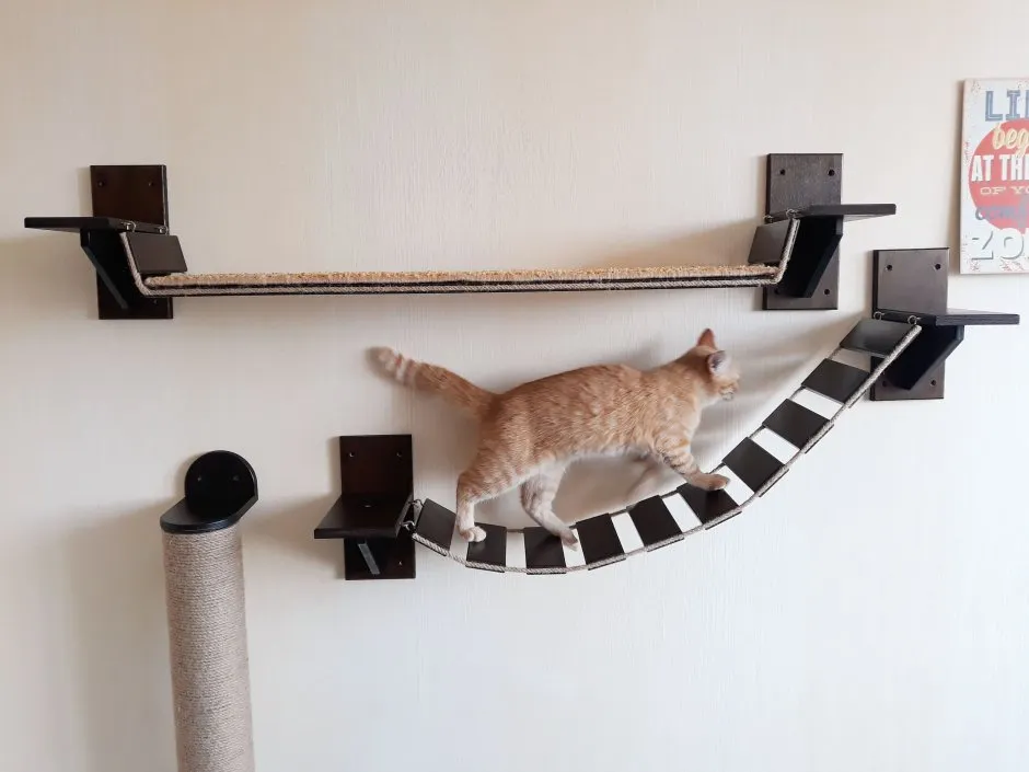 Лестница для котов