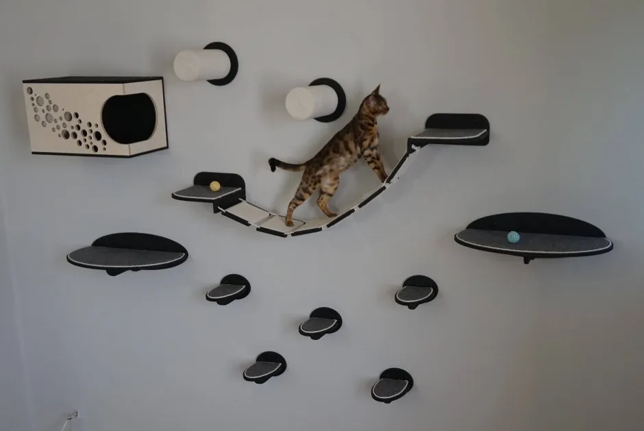 Настенные конструкции для кошек