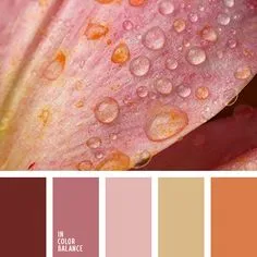 cvetovaya-palitra-3558 Beige Color Palette, Warm Color Schemes, Orange Color Palettes, Color Schemes Colour Palettes, Colour Pallete, Warm Colors, Color Combinations, Orange Palette, Pink Lila