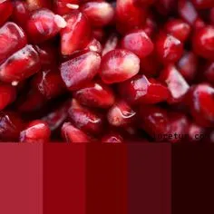 Pomegranate Seeds - Pinks and reds from the pomegranate seeds create a beautiful monochrome palette - Download the swatches now! Monochrome Aesthetic Color, Monochrome Color Palette, Red Monochrome, Rgb Code, Painting Corner, Neon Painting