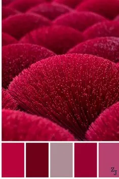 ZJ Colour Palette 858 #colourpalettes #colourinspiration Pantone Colour Palettes, Pantone Color, Color Combos, Pantone Red, Color Inspiration, Red Colour Palette, Graphisches Design