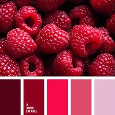 Цветовая палитра №3146 Grey Palette, Pink Decor