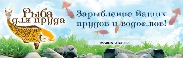Как сделать и облагородить пруд на участке – построить с нуля