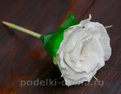 Розы из гофрированной бумаги. Мастер-класс