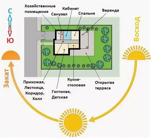 Участок 4 сотки что посадить