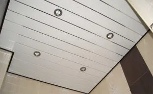 Фото: Потолок из панелей